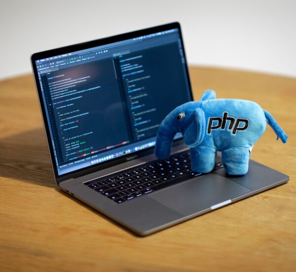 Website Support Services