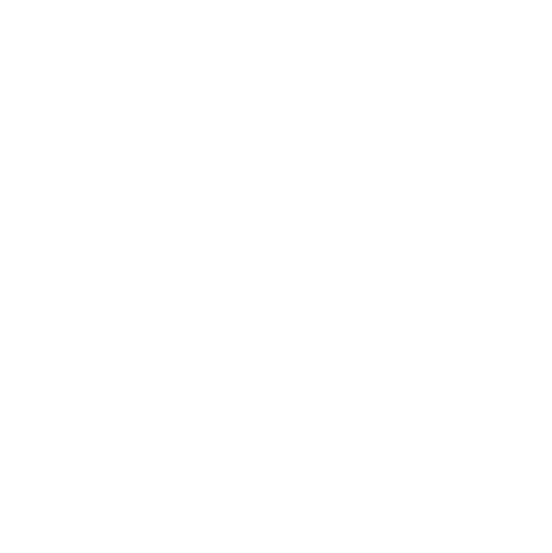 Digital Strategy